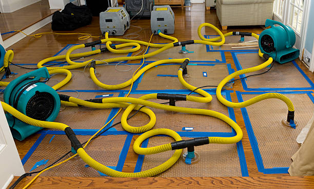 Professional Structural Drying And Dehumidification technician working in Thornton, NH
