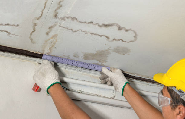 Affordable Water Damage Repair solutions in Thornton, NH